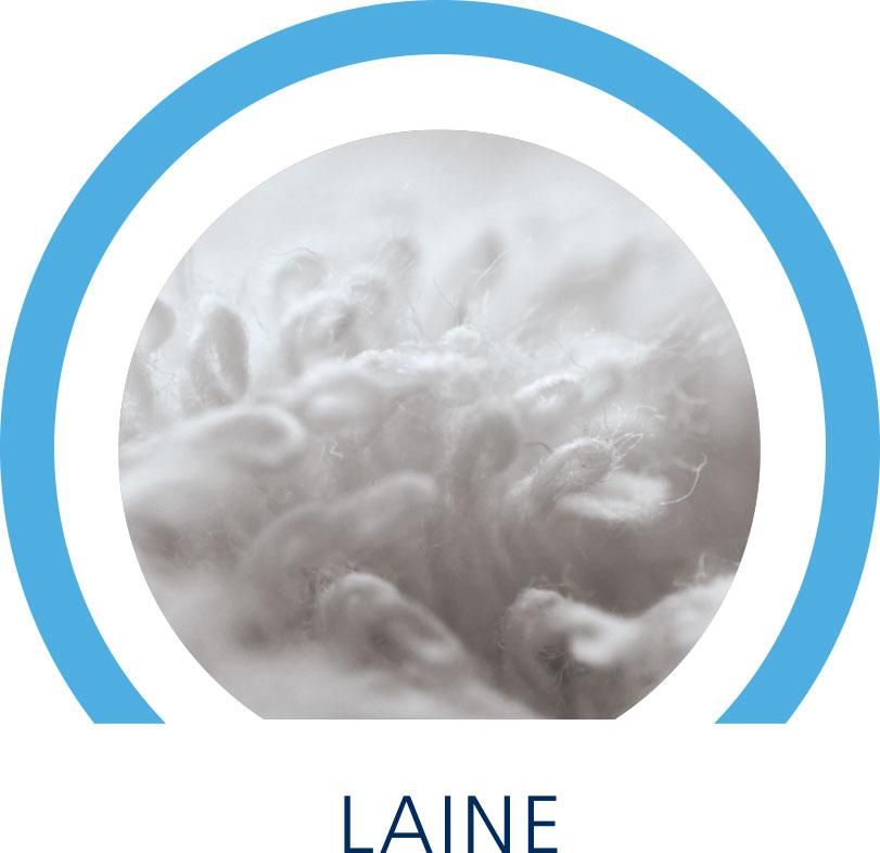 laine.jpg