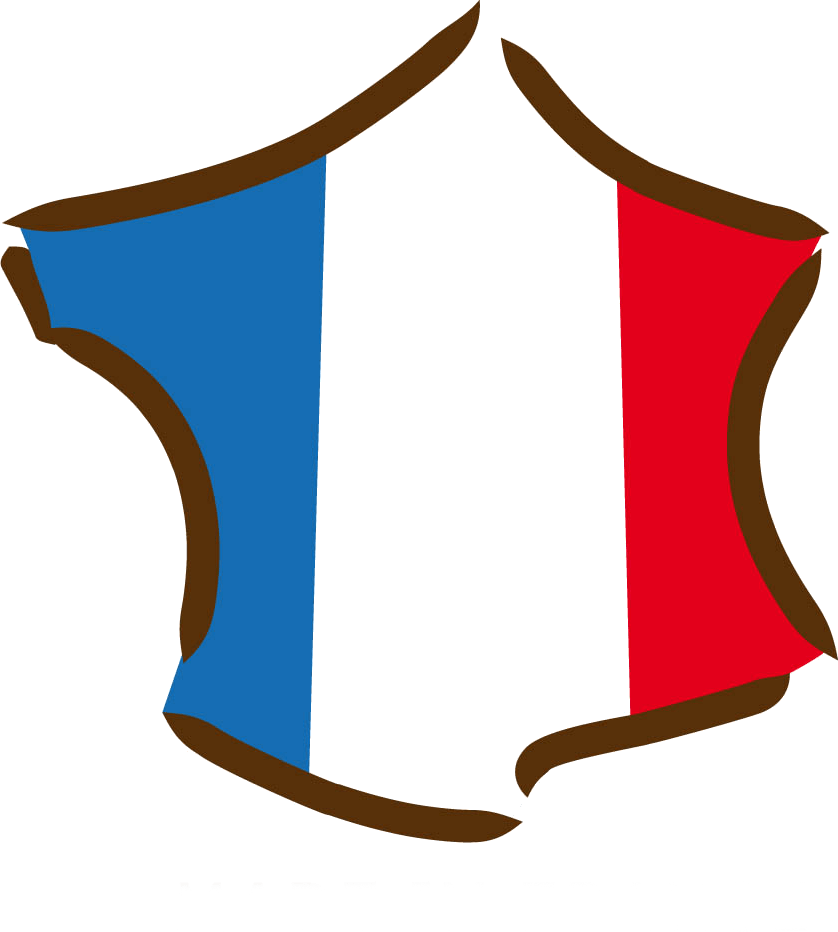 logo-france(1).png